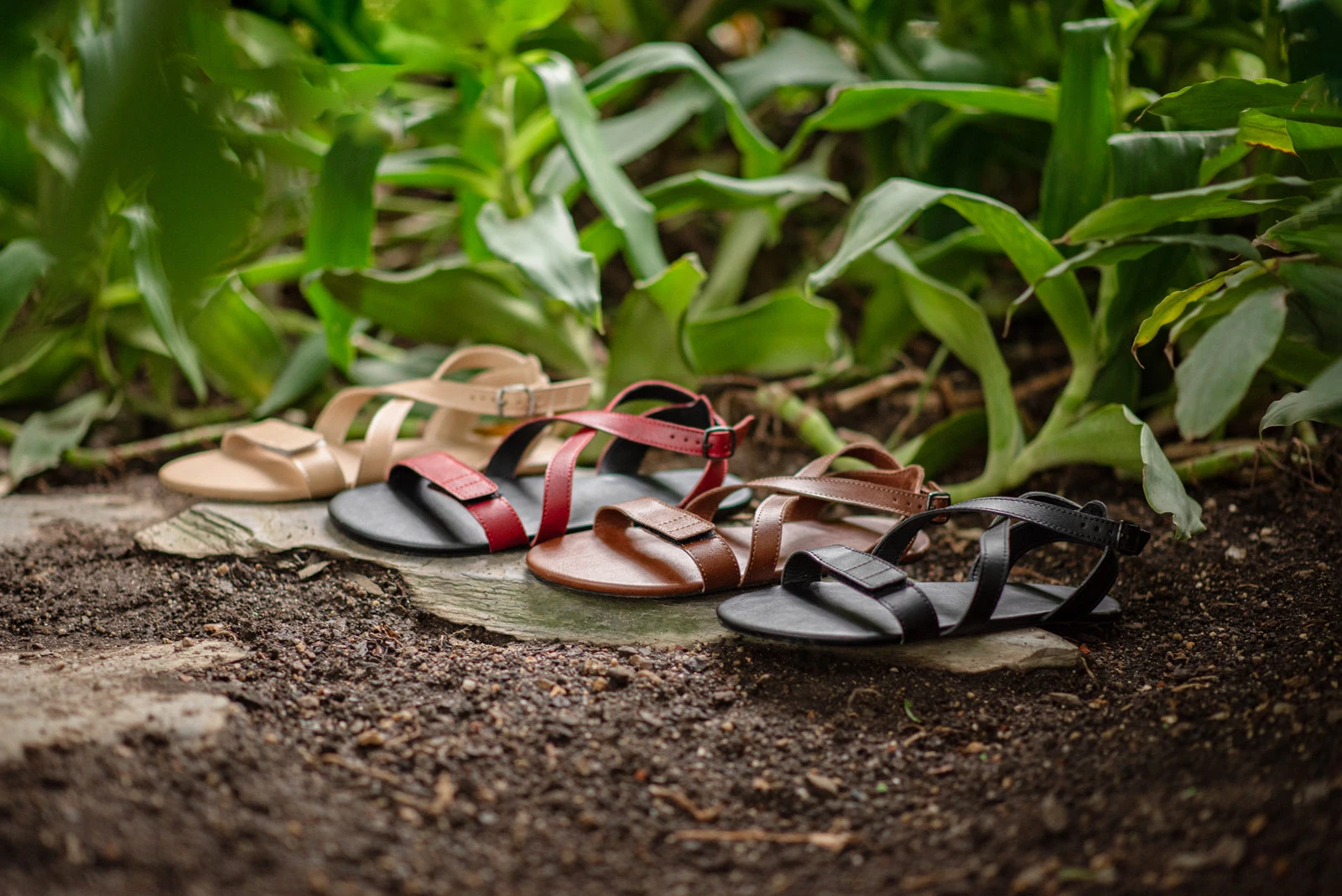 Сандалии Ahinsa Hava Barefoot — бордовый, фото 20